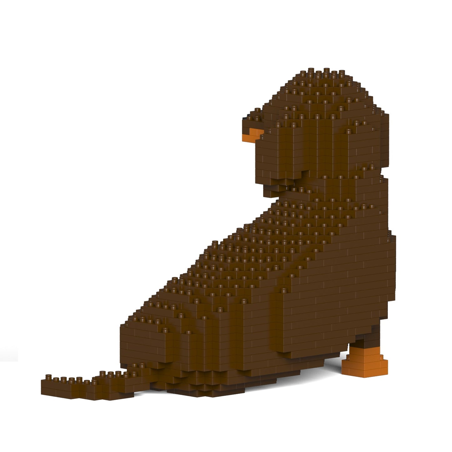 Dachshund 05-M02