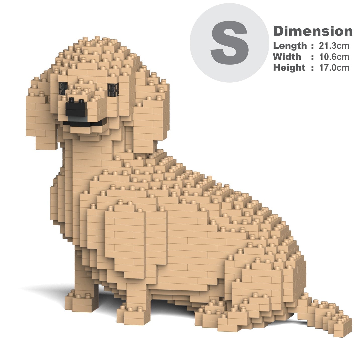 Dachshund 05-M03