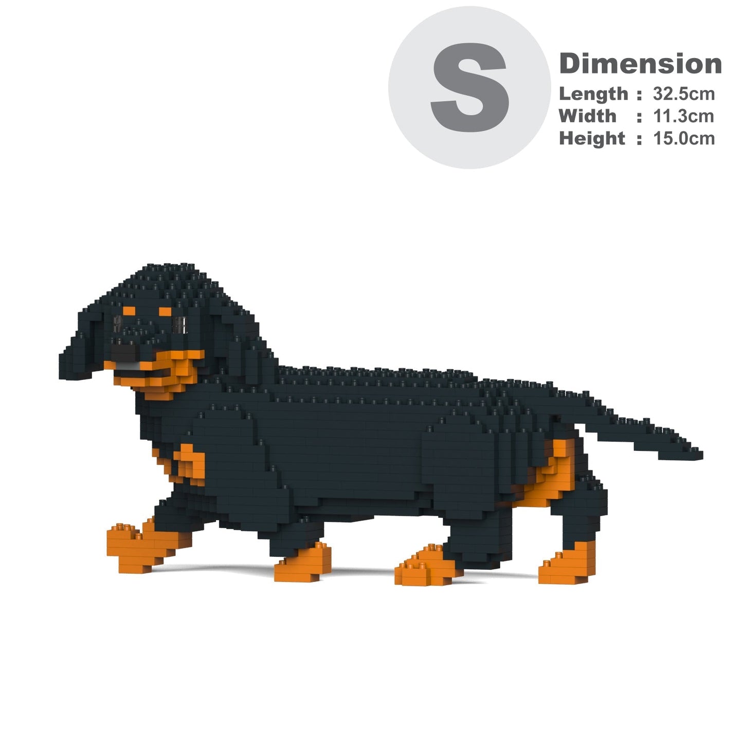 Dachshund 06-M01