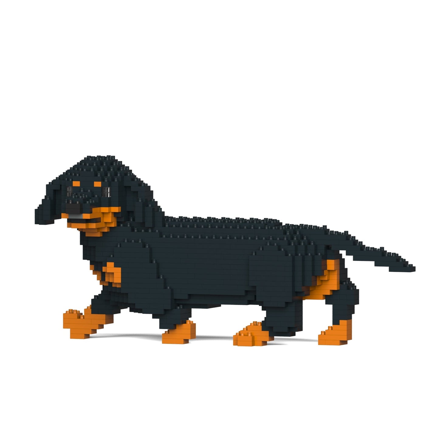 Dachshund 06-M01