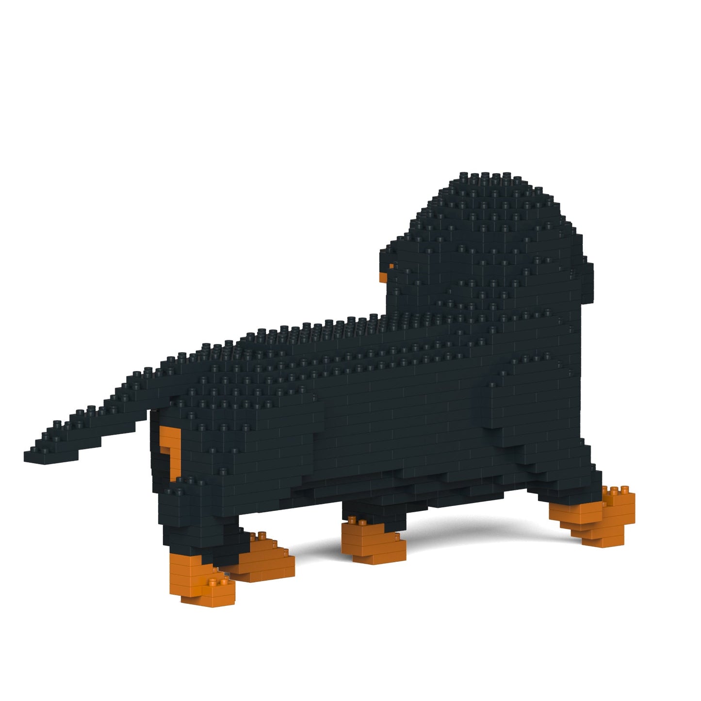 Dachshund 06-M01