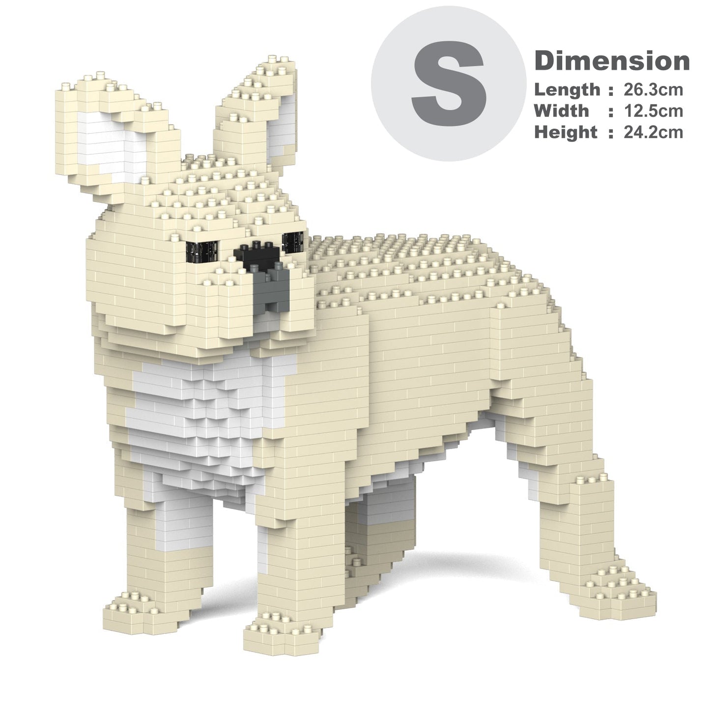 French Bulldog 03-M02