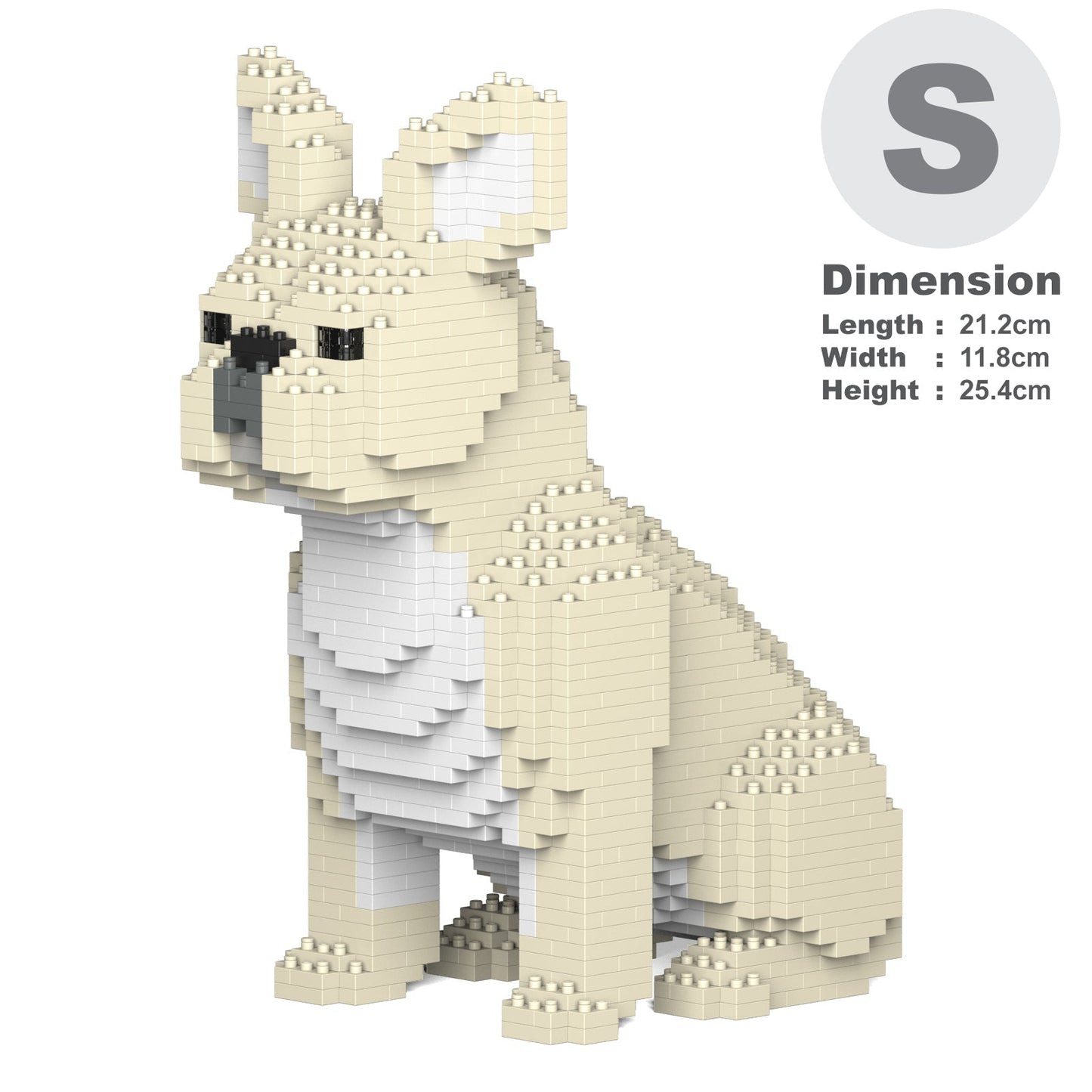 French Bulldog 04-M02