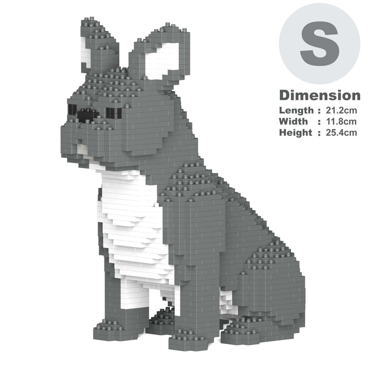 French Bulldog 04-M05