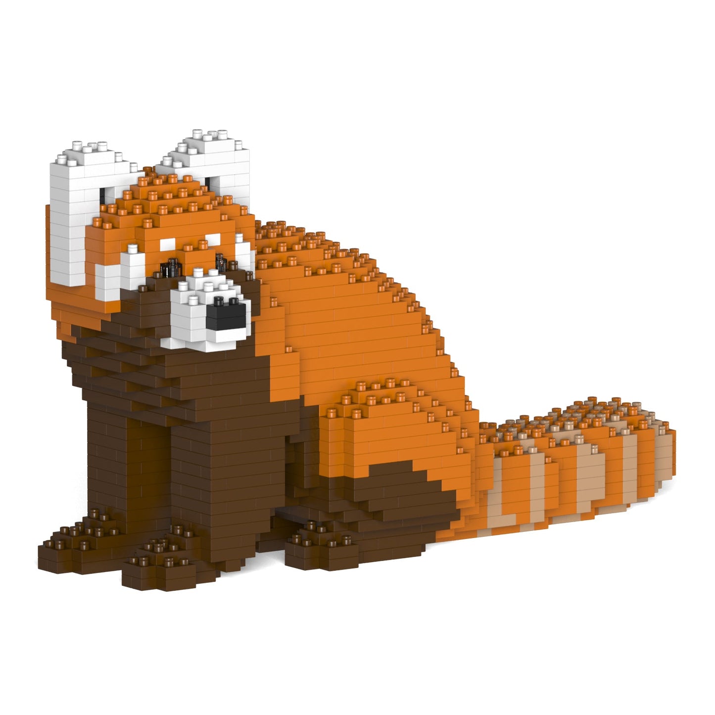 Red Panda 01