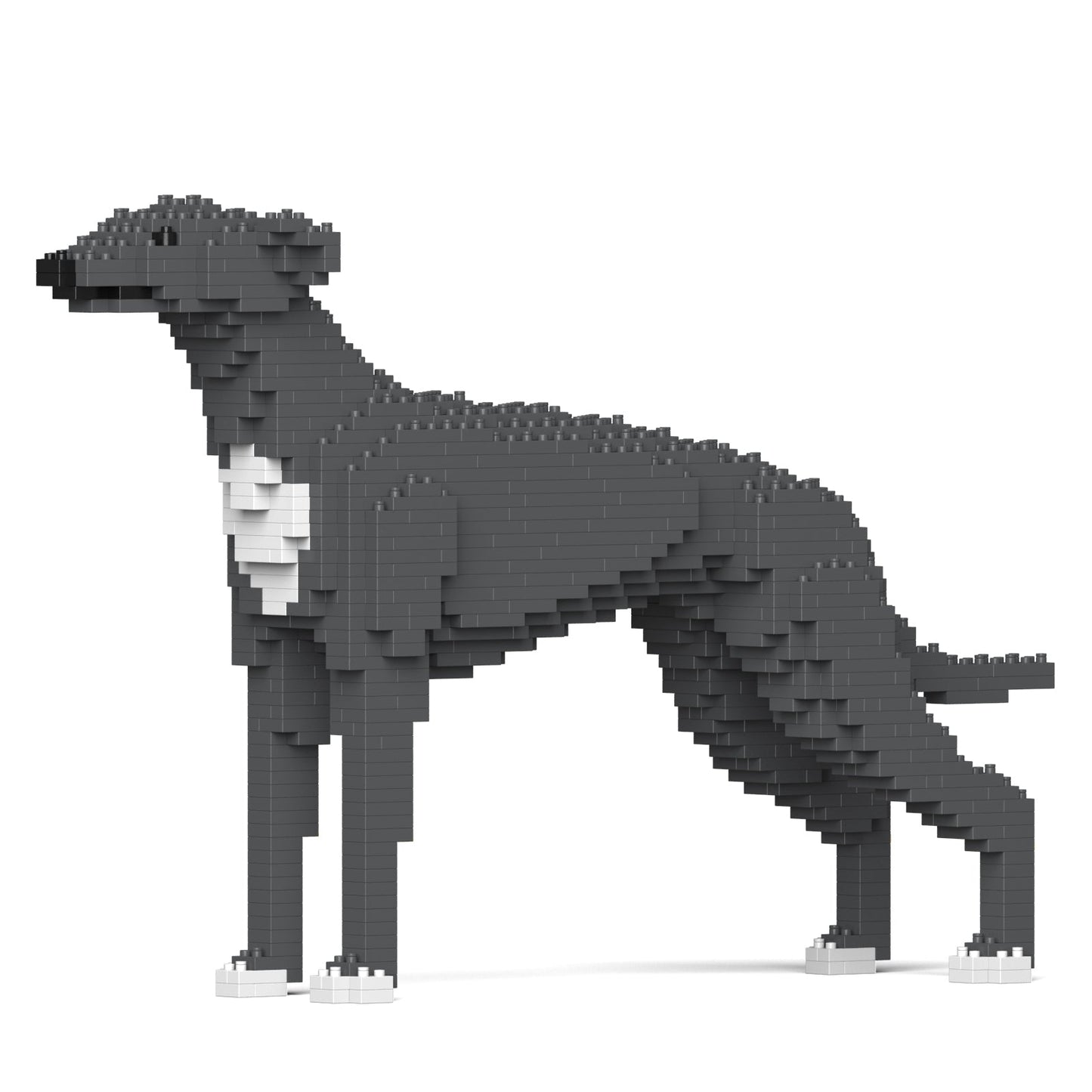 Greyhound 01-M03