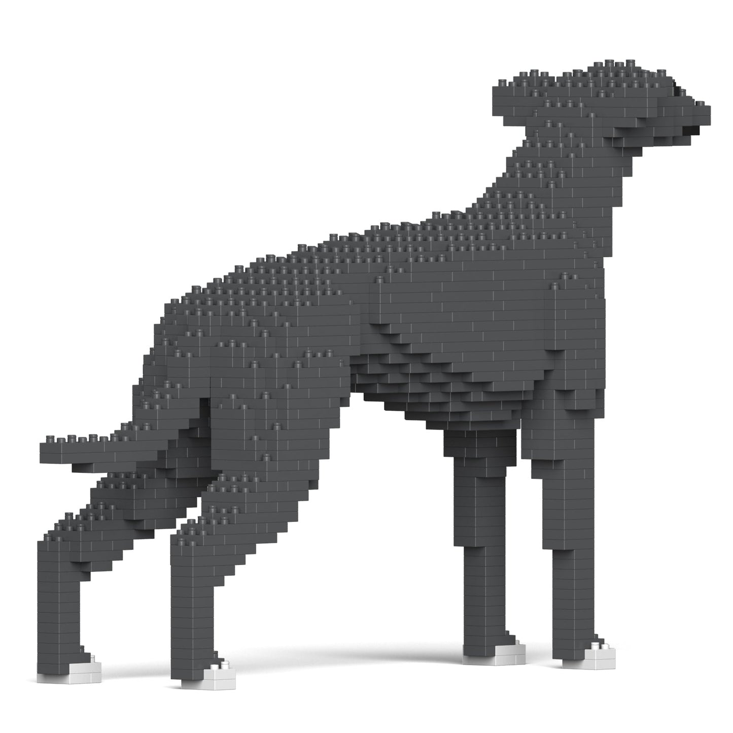 Greyhound 01-M03