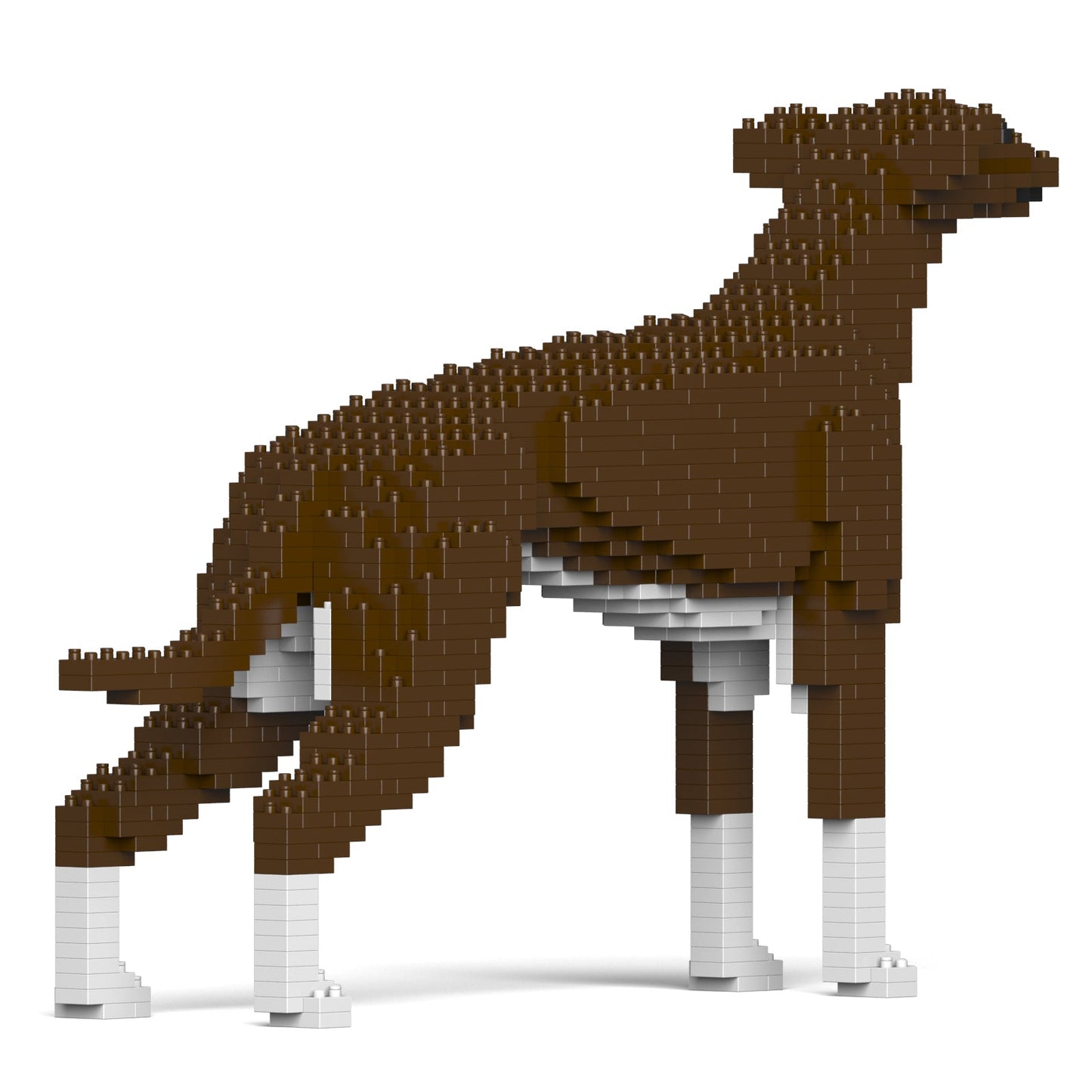Greyhound 01-M04