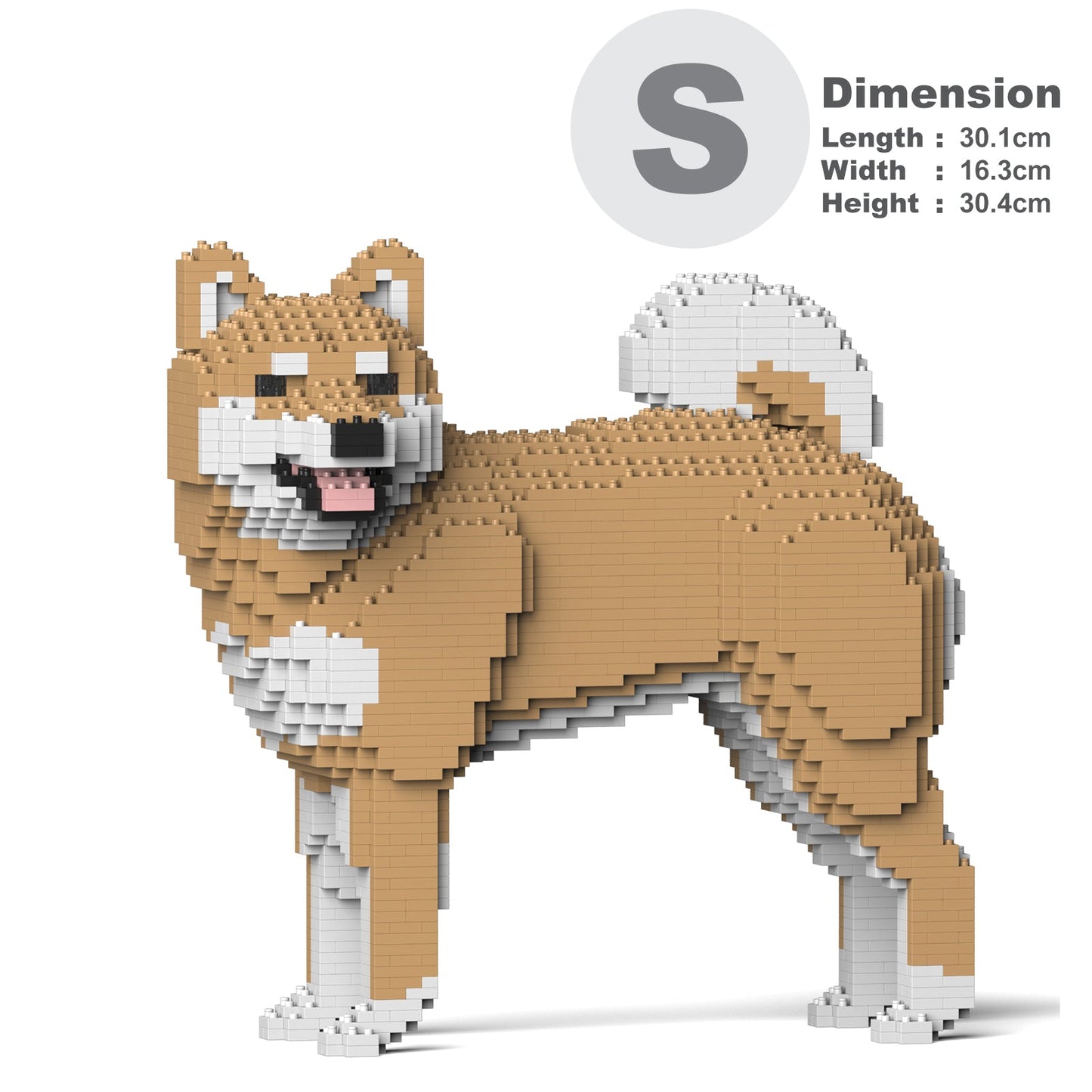 Shiba Inu 02-M02