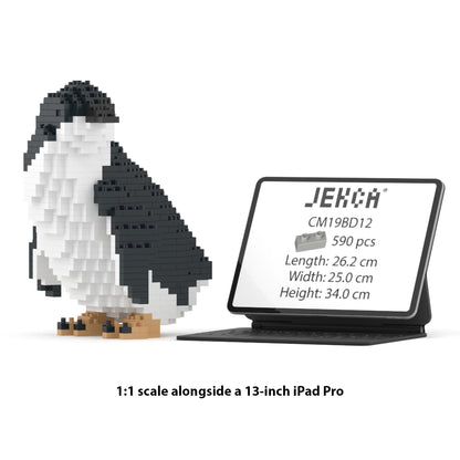 Little Penguin 02 – JEKCA Australia - Main Image