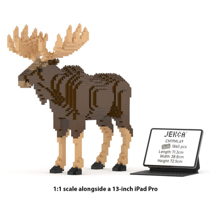 Moose 01