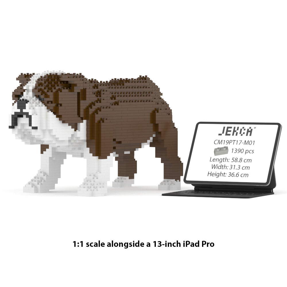 English Bulldog 01-M01 – JEKCA Australia