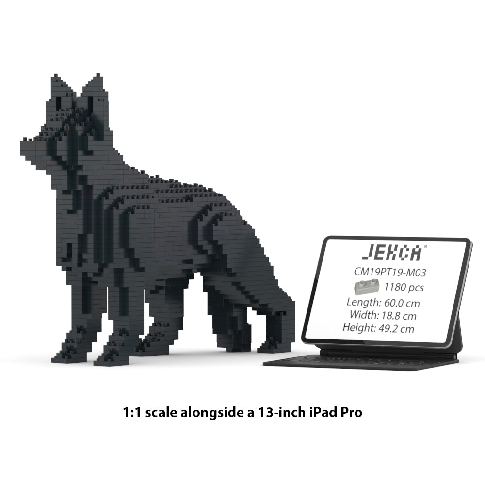 German Shepherd 01-M03