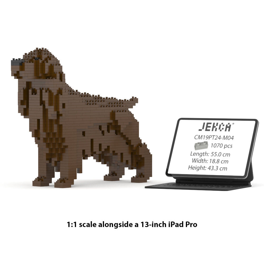 English Cocker Spaniel 01-M04