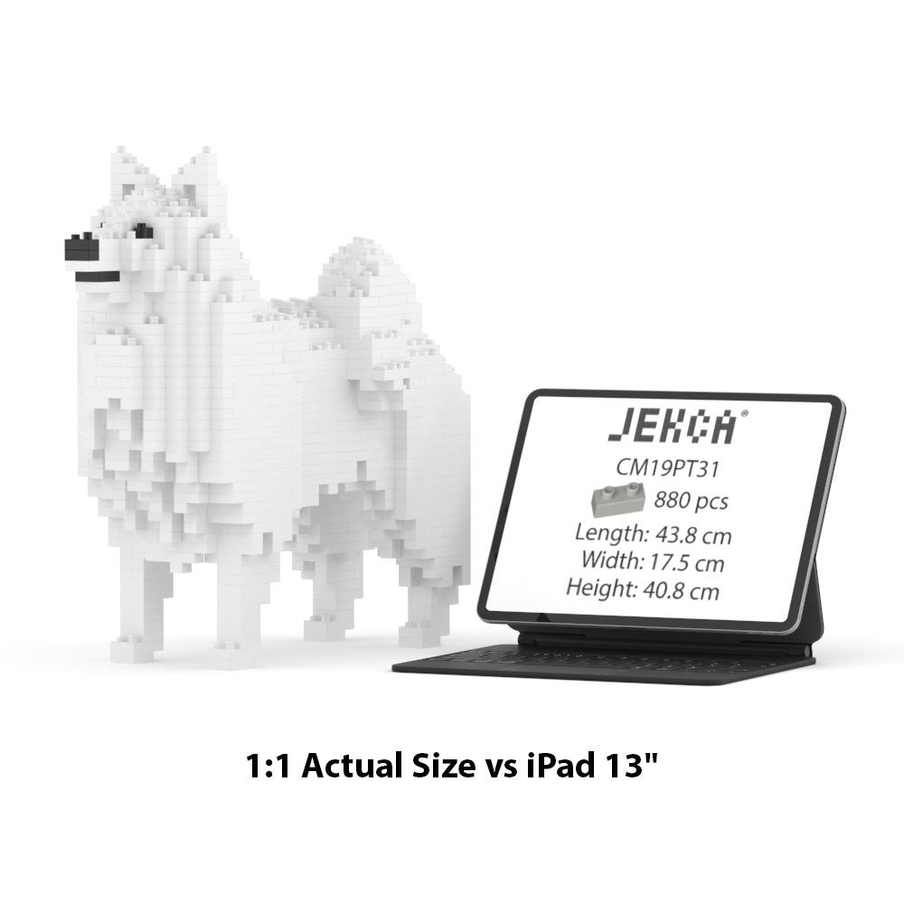 Japanese Spitz 01 – JEKCA Australia