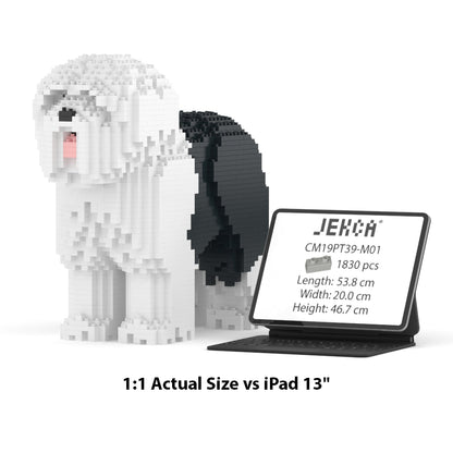 Old English Sheepdog 01-M01