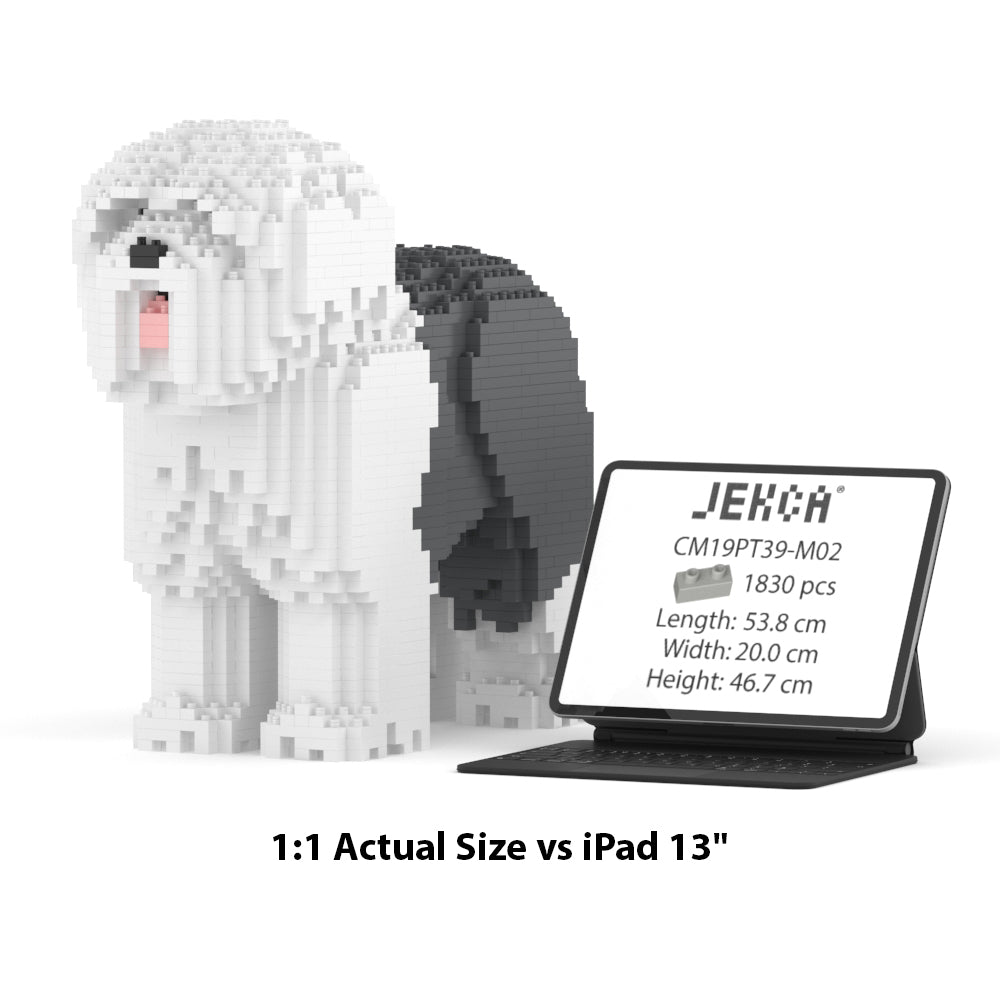 Old English Sheepdog 01-M02