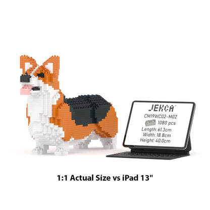 Welsh Corgi 02-M02