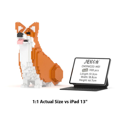 Welsh Corgi 03-M01