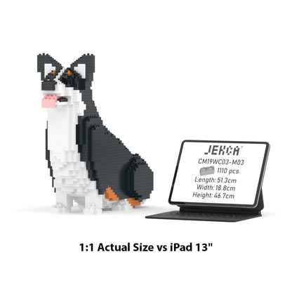 Welsh Corgi 03-M03