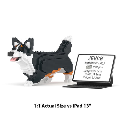 Welsh Corgi 04-M03