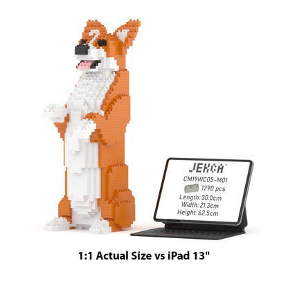 Welsh Corgi 05-M01