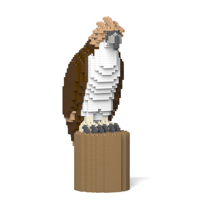 Philippine eagle 01