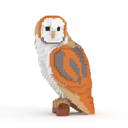 Barn Owl 01