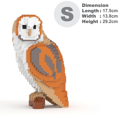 Barn Owl 01