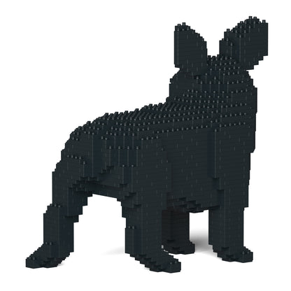 French Bulldog 03-M03
