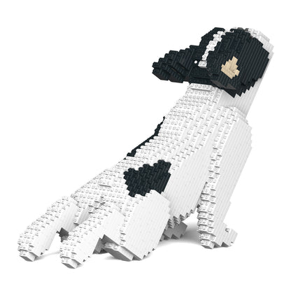 French Bulldog 05-M04