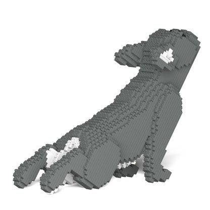 French Bulldog 05-M05