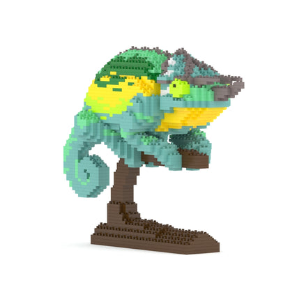 Jackson's Chameleon 01