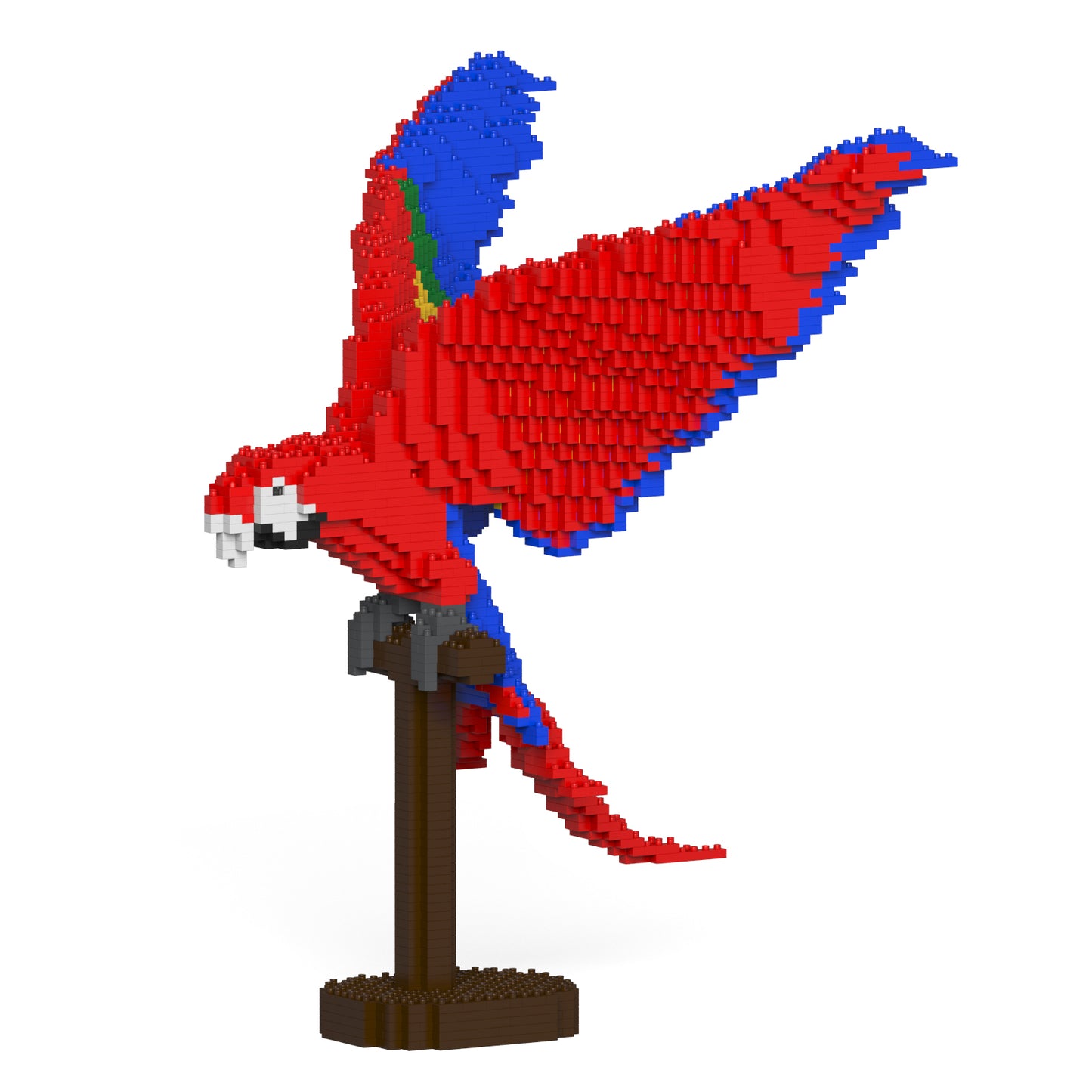 Scarlet Macaw 02S
