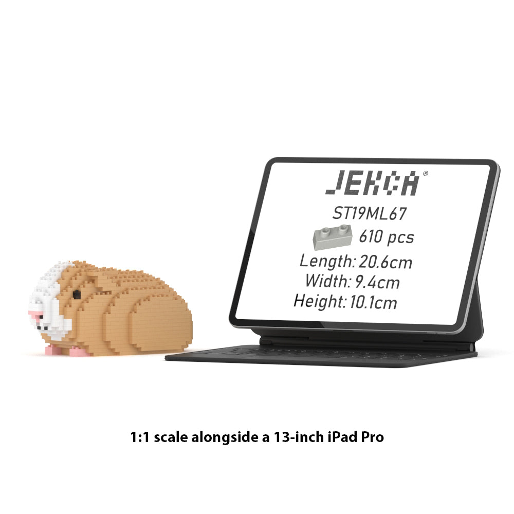 Guinea Pig 01