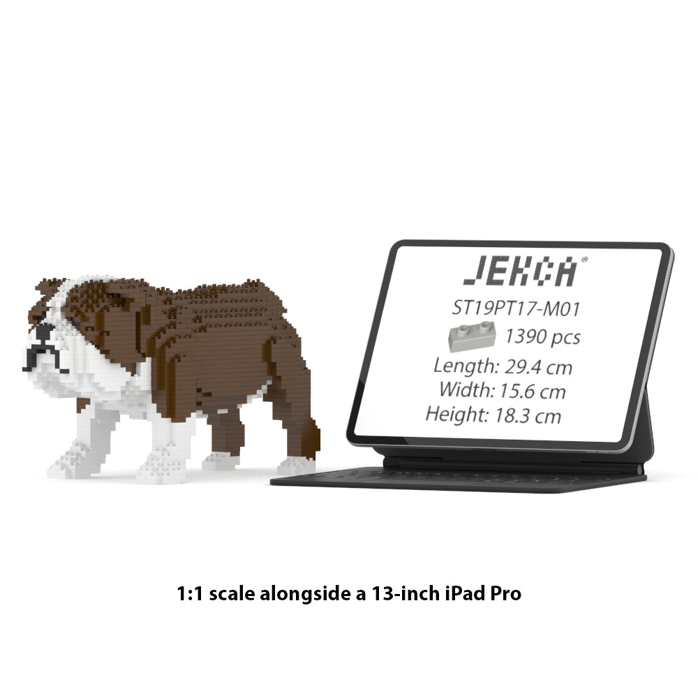 English Bulldog 01-M01 – JEKCA Australia