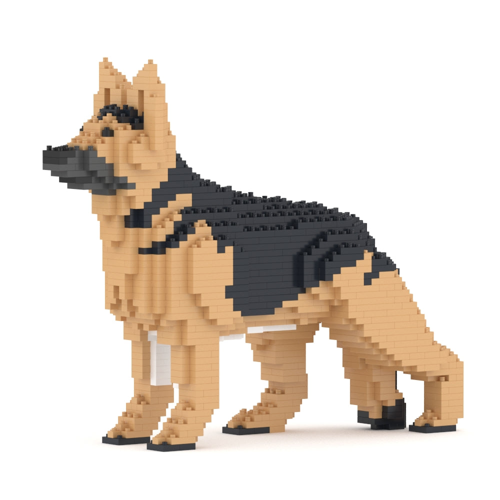 German Shepherd 01-M01