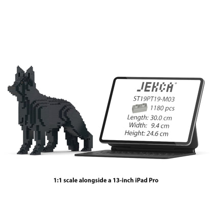 German Shepherd 01-M03