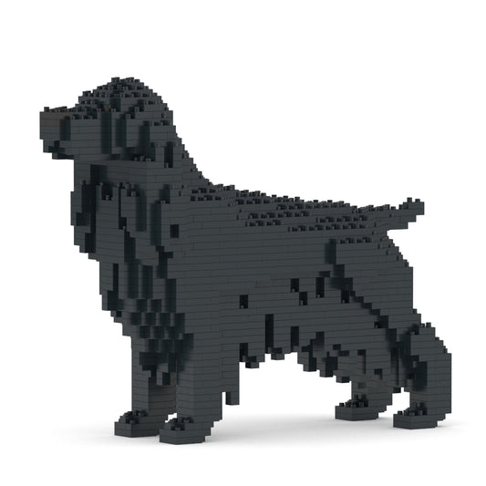 English Cocker Spaniel 01-M02