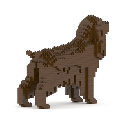 English Cocker Spaniel 01-M04