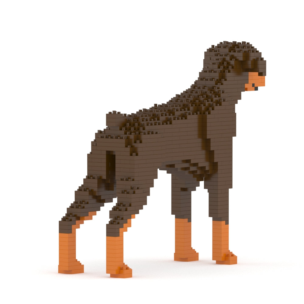 Doberman Pinscher 01-M02