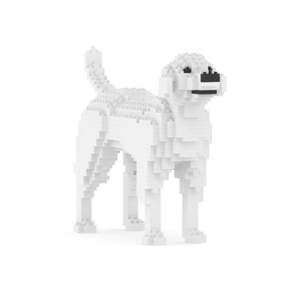 Labrador Retriever 01-M02