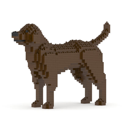 Labrador Retriever 01-M05