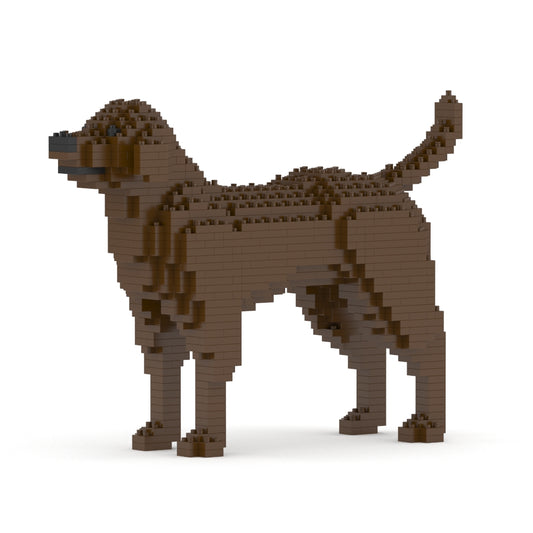 Labrador Retriever 01-M05
