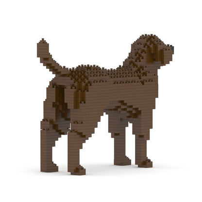 Labrador Retriever 01-M05