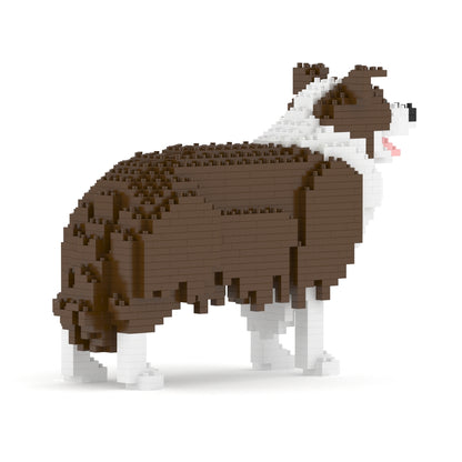 Border Collie 01-M02