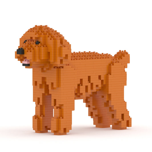 Toy Poodle 01-M04