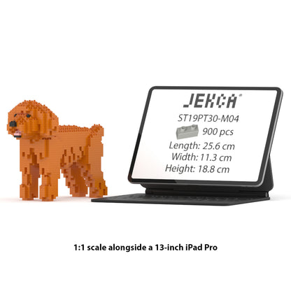 Toy Poodle 01-M04