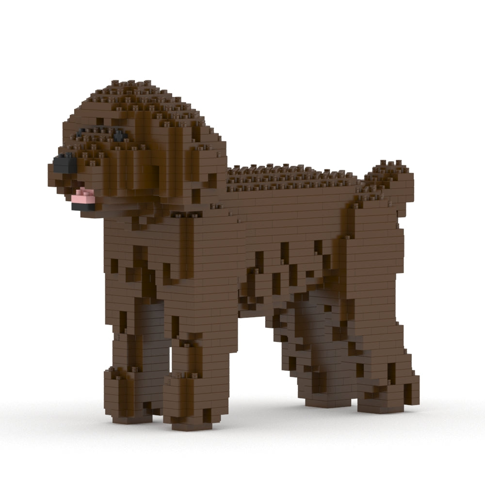 Toy Poodle 01-M05