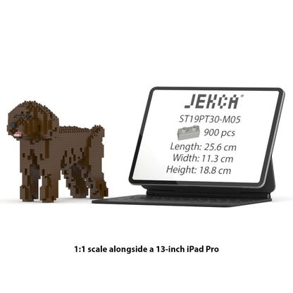 Toy Poodle 01-M05